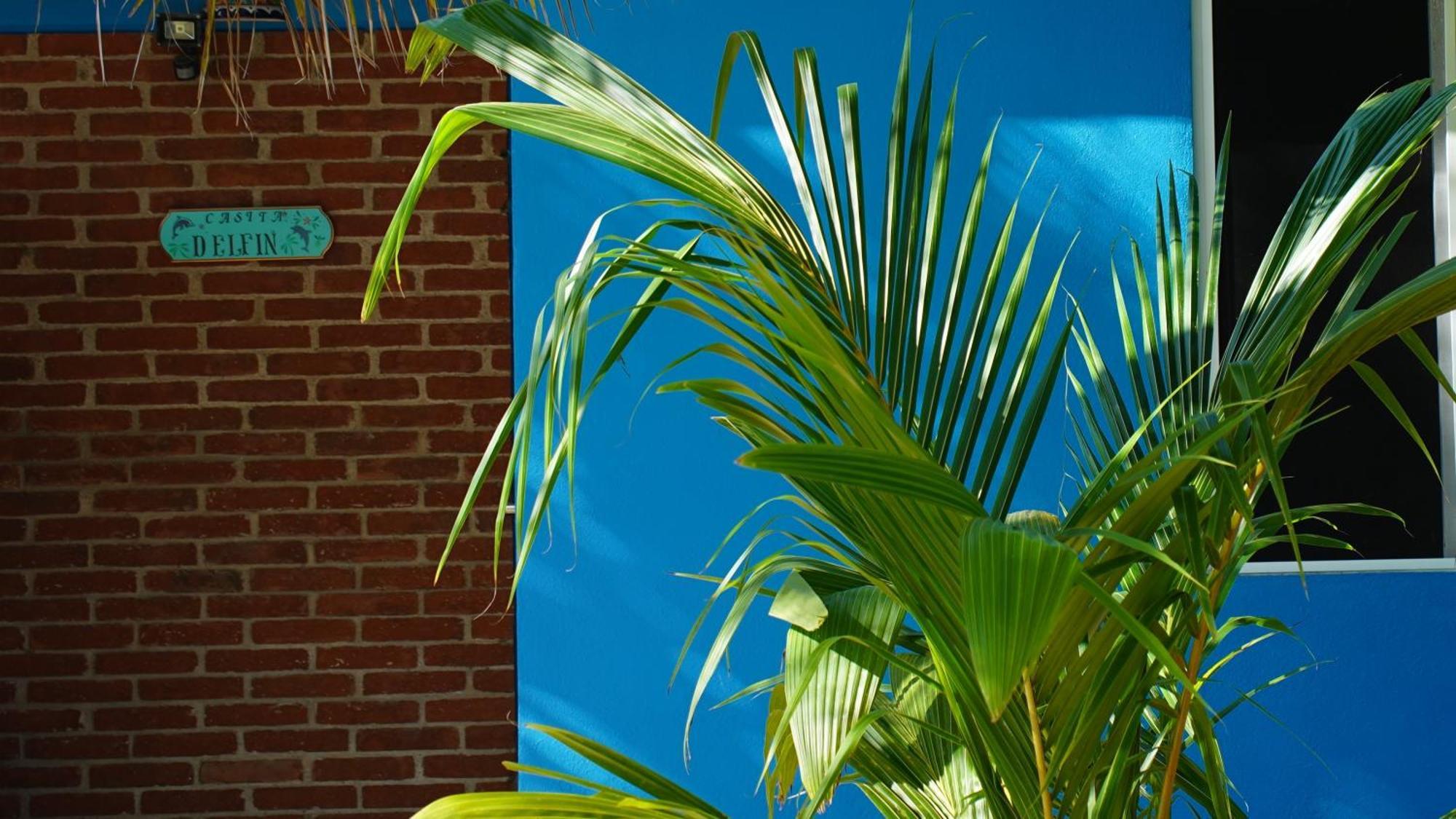 Ocean Oasis Hotel - Adult Only, Four Casitas Boutique Resort Agua Blanca Экстерьер фото