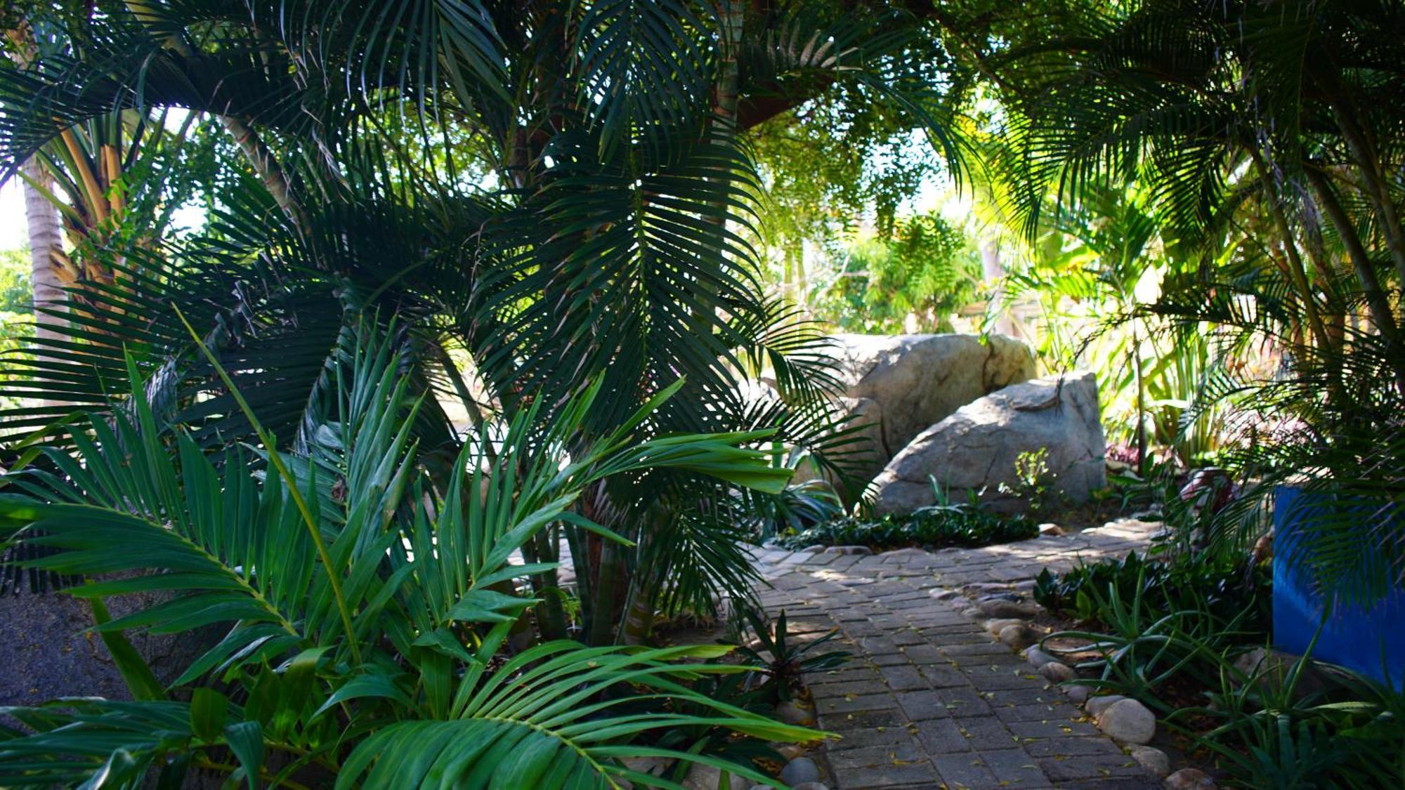 Ocean Oasis Hotel - Adult Only, Four Casitas Boutique Resort Agua Blanca Экстерьер фото