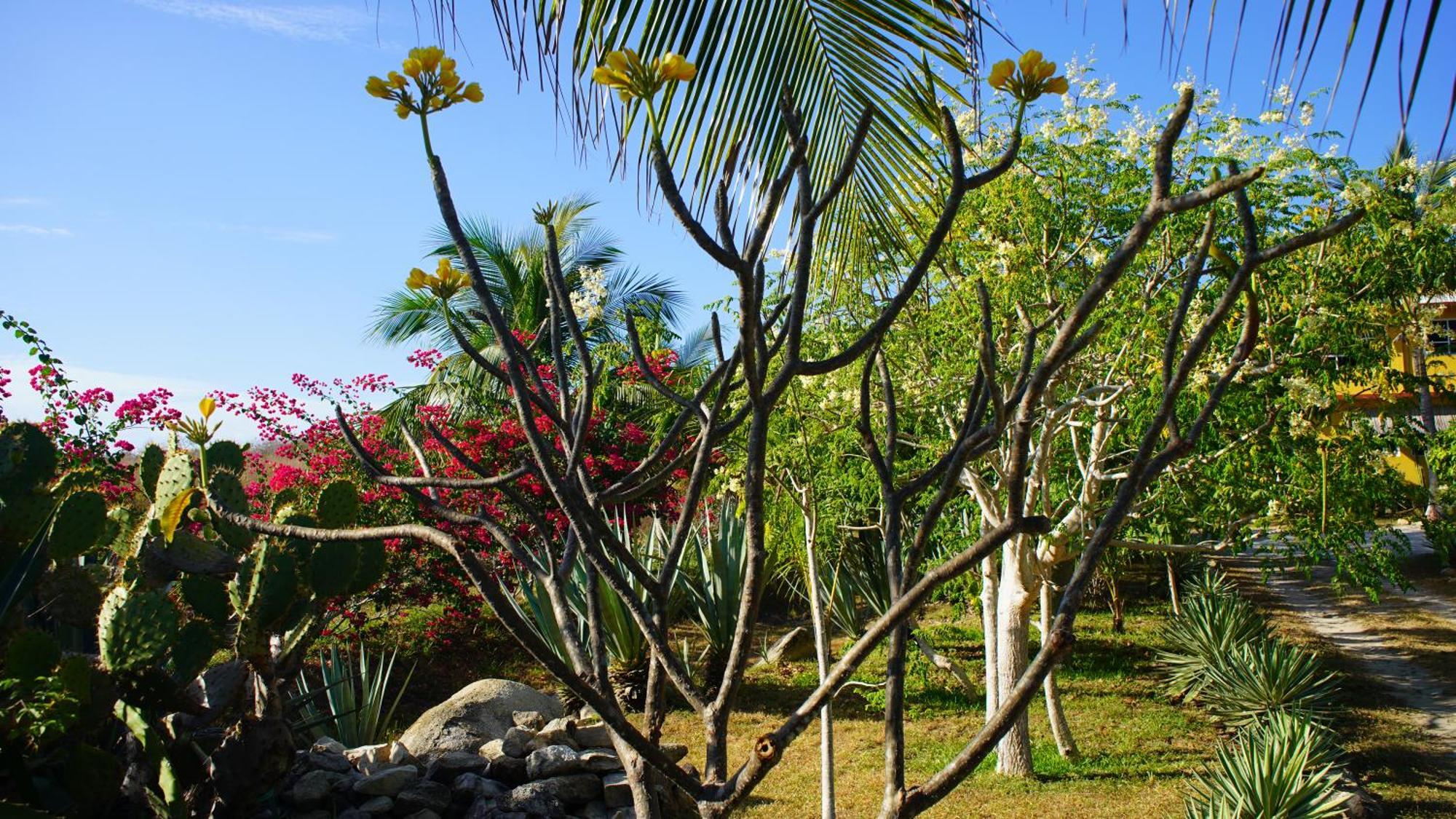 Ocean Oasis Hotel - Adult Only, Four Casitas Boutique Resort Agua Blanca Экстерьер фото
