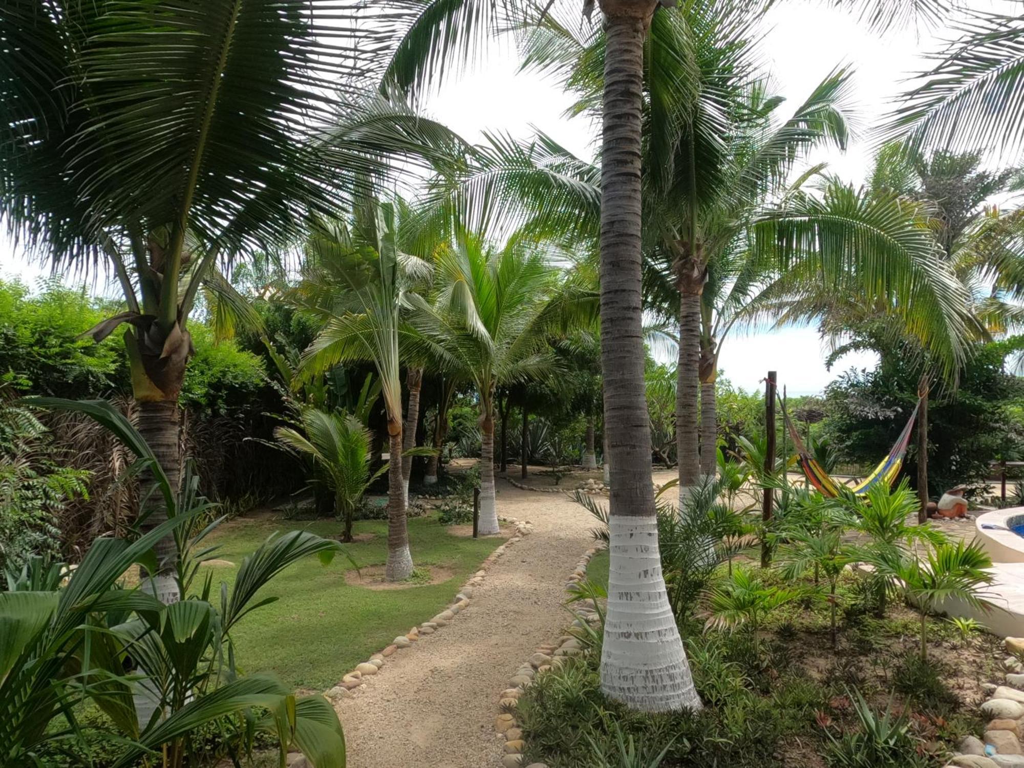 Ocean Oasis Hotel - Adult Only, Four Casitas Boutique Resort Agua Blanca Экстерьер фото